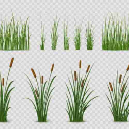 agrobugz